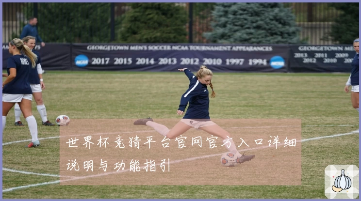 世界杯竞猜平台官网官方入口详细说明与功能指引