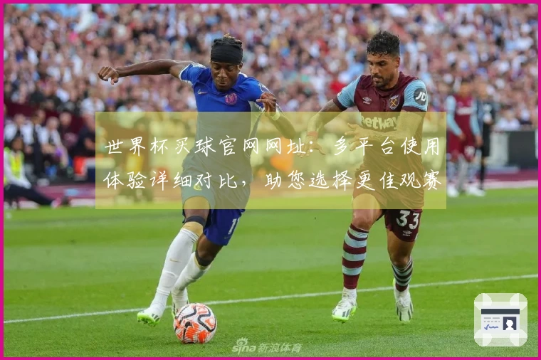 世界杯买球官网网址：多平台使用体验详细对比，助您选择更佳观赛入口