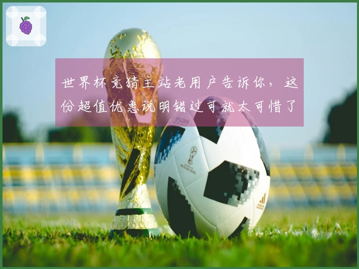 世界杯竞猜主站老用户告诉你,这份超值优惠说明错过可就太可惜了!