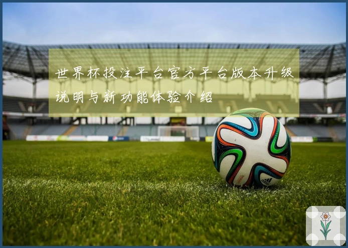 世界杯投注平台官方平台版本升级说明与新功能体验介绍