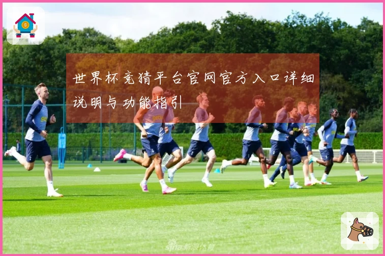 世界杯竞猜平台官网官方入口详细说明与功能指引