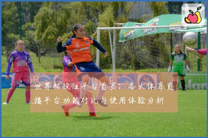 世界杯投注平台首页:各大体育直播平台功能对比与使用体验分析